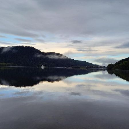Entre Montagne Et Lac Gérardmer Exteriör bild