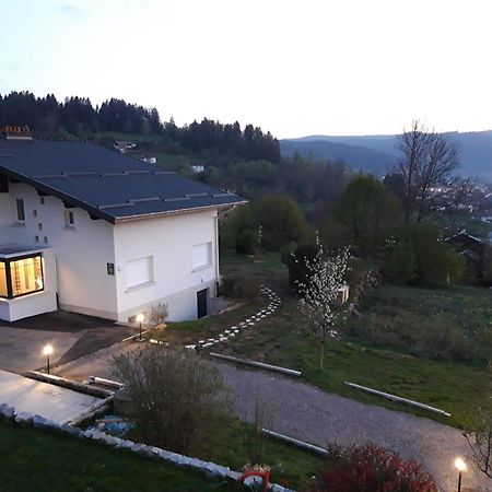 Entre Montagne Et Lac Gérardmer Exteriör bild