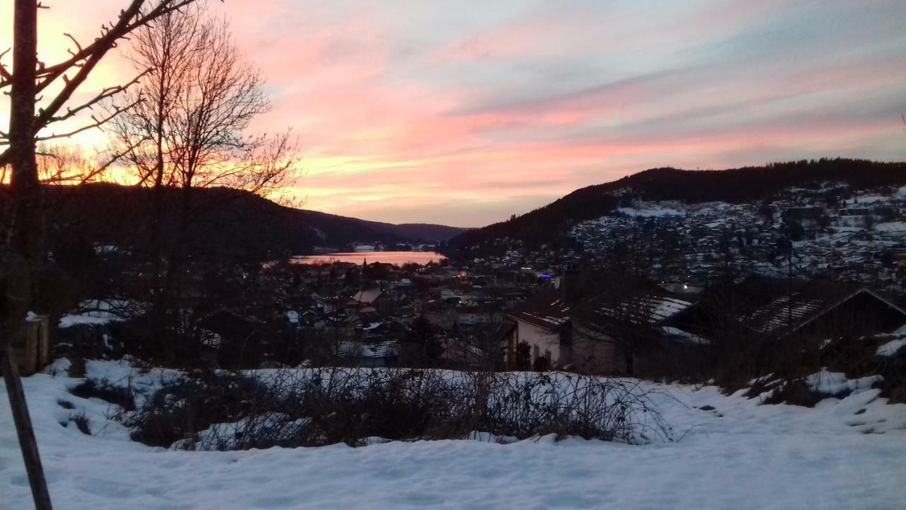 Entre Montagne Et Lac Gérardmer Exteriör bild